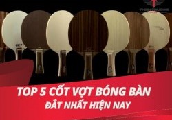 Khám phá 5 cốt vợt bóng bàn đắt nhất hiện nay