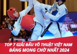 Top 7 giải đấu võ thuật Việt Nam hấp dẫn nhất 2025