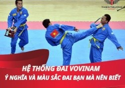 Hệ thống đai Vovinam: Ý nghĩa, màu sắc đai mà bạn nên biết