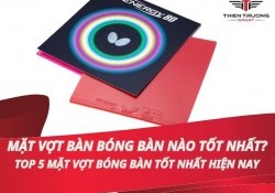 Top các mặt vợt bàn bóng bàn tốt nhất hiện nay