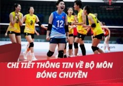 Chi tiết thông tin về bộ môn bóng chuyền