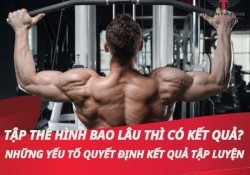  Tập thể hình bao lâu thì có kết quả? Những yếu tố quyết định kết quả tập luyện