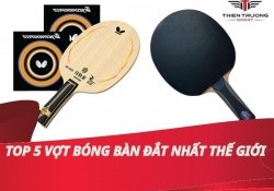 Tổng hợp 5 chiếc vợt bóng bàn đắt nhất thế giới
