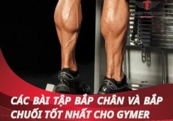 Các bài tập bắp chân và bắp chuối hiệu quả tốt nhất cho Gymer