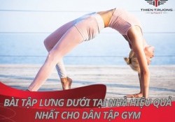 10 bài tập lưng dưới tại nhà hiệu quả nhất cho dân tập Gym