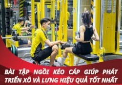 Bài tập ngồi kéo cáp giúp phát triển xô và lưng hiệu quả tốt Nhất