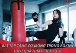 7 bài tập tăng cơ mông trong Boxing hiệu quả nhất cho võ sĩ