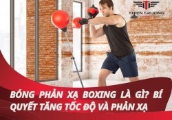 Bóng phản xạ boxing là gì? Bí quyết tăng tốc độ và phản xạ