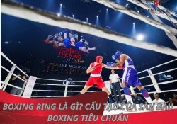 Boxing ring là gì? Cấu tạo của sàn đấu Boxing tiêu chuẩn