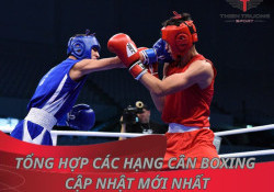 Tổng hợp các hạng cân boxing cập nhật mới nhất 2025