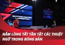 Nằm lòng tất tần tật các thuật ngữ trong bóng bàn