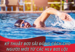 Kỹ thuật bơi sải đúng cách cho người mới từ các HLV bơi lội !