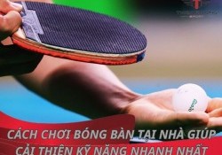 Cách chơi bóng bàn tại nhà giúp cải thiện kỹ năng nhanh nhất