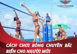 Hướng dẫn cách chơi bóng chuyền bãi biển cho người mới!