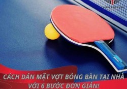 Cách dán mặt vợt bóng bàn tại nhà với 6 bước đơn giản