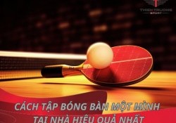 Bật mí 5 cách tập bóng bàn một mình tại nhà hiệu quả nhất