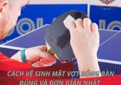 Cách vệ sinh mặt vợt bóng bàn đúng cách và đơn giản nhất 