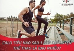 Calo tiêu hao sau 1 giờ tập luyện thể thao là bao nhiêu?