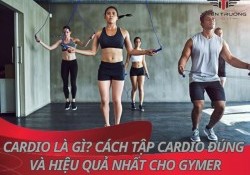 Cardio là gì? Cách tập Cardio đúng và hiệu quả nhất cho Gymer