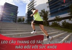 Leo cầu thang có tác dụng như thế nào đối với sức khỏe