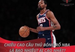 Chiều cao cầu thủ bóng rổ NBA là bao nhiêu? Ai cao nhất?