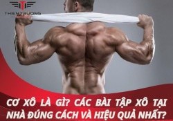 Cơ xô là gì? Các bài tập xô tại nhà đúng cách & hiệu quả nhất?