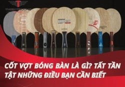 Tất tần tật những điều bạn cần biết về cốt vợt bóng bàn là gì? 
