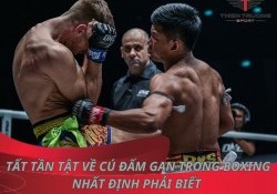 Tất tần tật về cú đấm gan trong boxing nhất định phải biết 