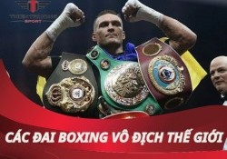 Tìm hiểu đai vô địch Boxing giá trị nhất thế giới 