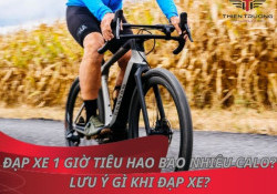 Đạp xe 1 giờ tiêu hao bao nhiêu calo? Lưu ý gì khi đạp xe?