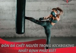 5 đòn đá chết người trong Kickboxing nhất định phải biết 