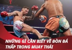 Tất tần tật những gì cần biết về đòn đá thấp trong Muay Thái