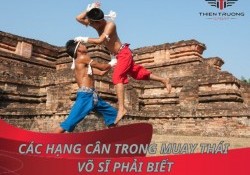 Tất tần tật về các hạng cân trong Muay Thái võ sĩ cần biết