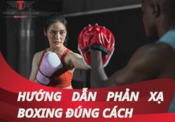 Hướng dẫn phản xạ boxing đúng cách từ HLV chuyên nghiệp