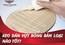 Keo dán vợt bóng bàn loại nào tốt nhất hiện nay