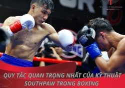 3 quy tắc quan trọng nhất của kỹ thuật Southpaw trong Boxing 