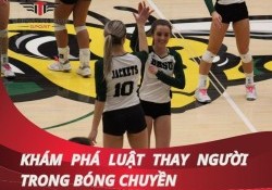 Khám phá tường tận về luật thay người trong bóng chuyền