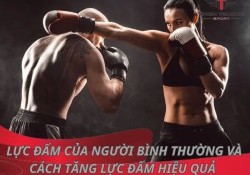 Giải đáp: Lực đấm của người bình thường là bao nhiêu?