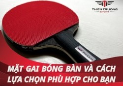Tìm hiểu về mặt gai bóng bàn và cách lựa chọn phù hợp