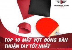 Khám phá Top 10 mặt vợt bóng bàn thuận tay tốt nhất cho bạn