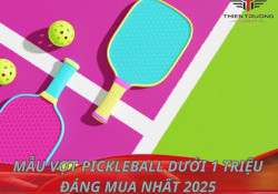 Top 10 mẫu vợt Pickleball dưới 1 triệu đáng mua nhất 2025