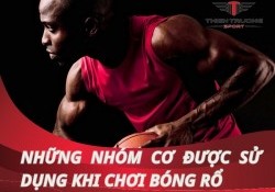 Giải đáp: Nhóm cơ nào được sử dụng khi chơi bóng rổ?