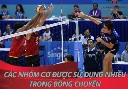 Tìm hiểu 5 nhóm cơ được sử dụng nhiều trong bóng chuyền