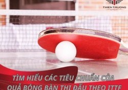 Tìm hiểu các tiêu chuẩn của quả bóng bàn thi đấu theo ITTF
