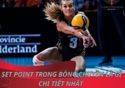 Giải đáp Set point trong bóng chuyền là gì chi tiết nhất 
