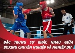  Sự khác nhau giữa boxing chuyên nghiệp và nghiệp dư
