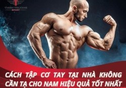 Cách tập cơ tay tại nhà không cần tạ cho nam hiệu quả tốt Nhất