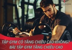 Tập Gym có tăng chiều cao không? 10 bài tập gym tăng chiều cao