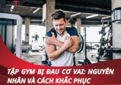 Tập gym bị đau cơ vai: Nguyên nhân và cách khắc phục