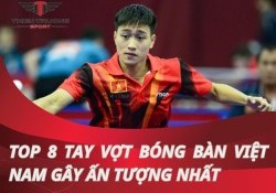 Top 8 tay vợt bóng bàn Việt Nam gây ấn tượng nhất